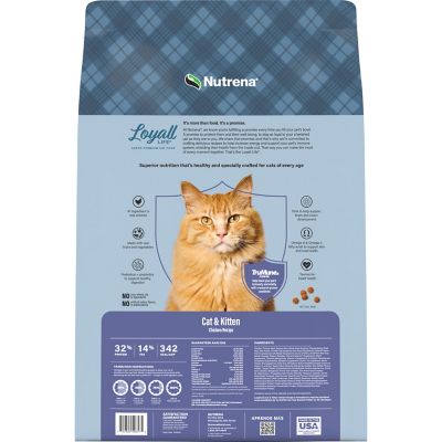 Image showing  All Life Stages Indoor/Outdoor Chicken and Rice Recipe Dry Cat Food, 20 lb. Bag