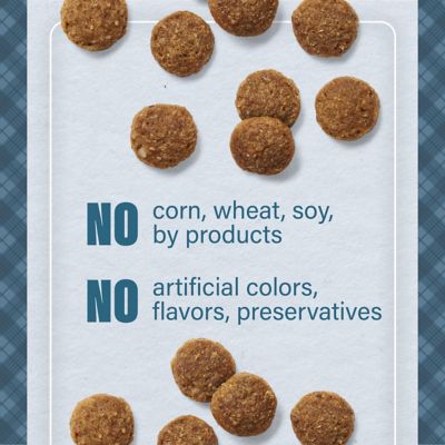 Image showing 5 th Nutrena Loyall Life All Life Stages Indoor/Outdoor Chicken and Rice Recipe Dry Cat Food, 20 lb. Bag