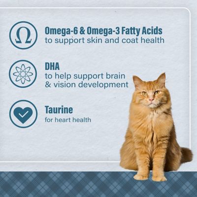 Image showing 6 th Nutrena Loyall Life All Life Stages Indoor/Outdoor Chicken and Rice Recipe Dry Cat Food, 20 lb. Bag