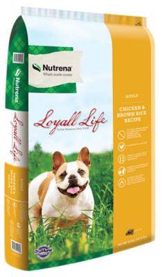 Nutrena Loyall Life Adult Chicken and Brown Rice Recipe Dry Dog Food Good dog food