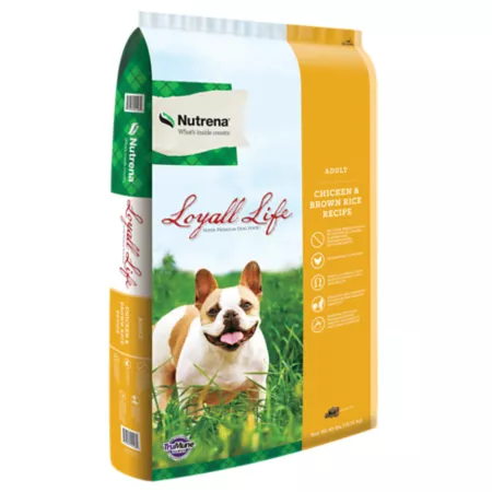 Nutrena Loyall Life Chicken and Brown Rice Recipe for Adult Dogs Dry Dog Food 40 lb Bag Dry Dog Food