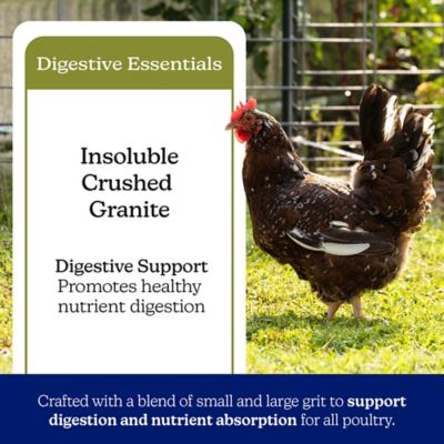 Image showing  Grit Chicken Feed, 7 lb. Bag