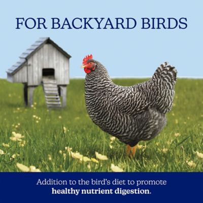 Image showing 6 th Nutrena NatureWise Grit Chicken Feed, 7 lb. Bag