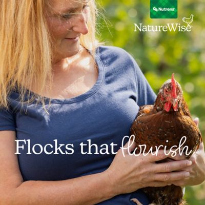 Image showing 7 th Nutrena NatureWise Grit Chicken Feed, 7 lb. Bag