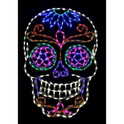 Sold as a Pair Day of the Dead Sugar Skul Hollow Back Single Flared Ear Gauge Plug