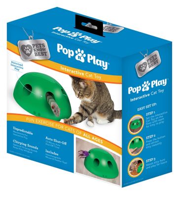 Pets Know Best Pop N' Play Deluxe Cat Toy Cat approved!