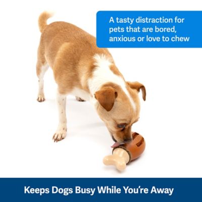 Image showing  Busy Buddy Chompin' Chicken Treat-Holding Dog Toy