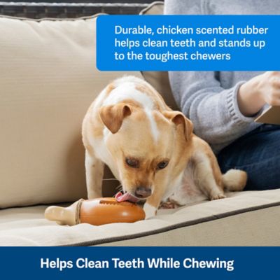 Image showing  Busy Buddy Chompin' Chicken Treat-Holding Dog Toy