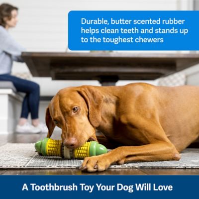 Image showing  Busy Buddy Cravin' Corncob Treat-Holding Dog Toy, Medium/Large