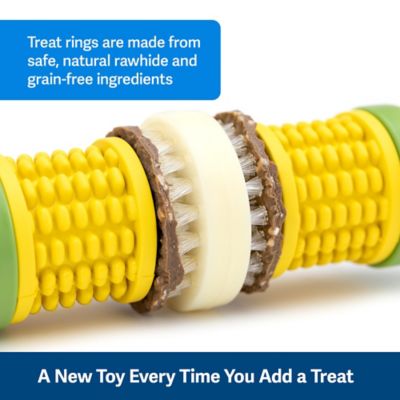 Image showing  Busy Buddy Cravin' Corncob Treat-Holding Dog Toy, Medium/Large