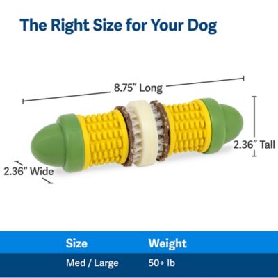 Image showing 5 th PetSafe Busy Buddy Cravin' Corncob Treat-Holding Dog Toy, Medium/Large