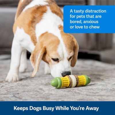 Image showing  Busy Buddy Cravin' Corncob Treat-Holding Dog Toy, Small/Medium