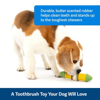 Image showing  Busy Buddy Cravin' Corncob Treat-Holding Dog Toy, Small/Medium