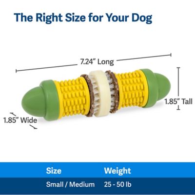 Image showing 5 th PetSafe Busy Buddy Cravin' Corncob Treat-Holding Dog Toy, Small/Medium
