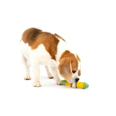 Image showing 6 th PetSafe Busy Buddy Cravin' Corncob Treat-Holding Dog Toy, Small/Medium