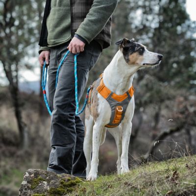 Image showing 7 th Kurgo Journey Air Dog Harness