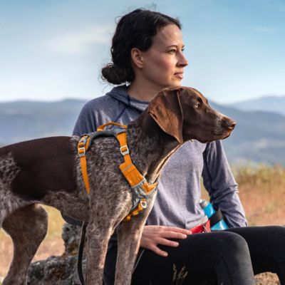 Image showing  Journey Air Dog Harness