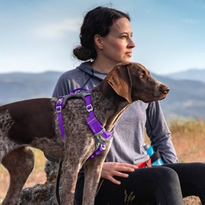 Image showing 4 th Kurgo Journey Air Dog Harness