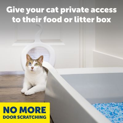 Image showing  Cat Corridor Interior Pet Door