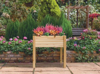 Image showing  2.5 cu. ft. Cedar Medium Elevated Garden Planter