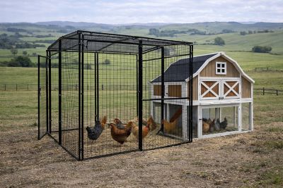 Image showing 8 th Rugged Ranch 3-Compartment 2-Tone Omaha Chicken Coop