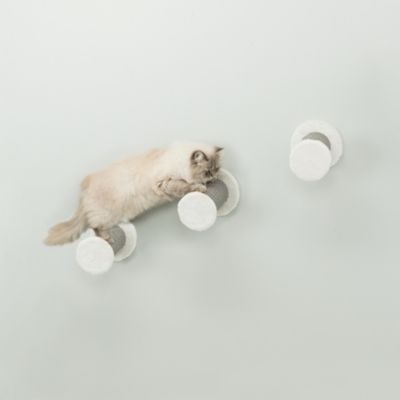 Image showing  XXL Wall-Mounted Cat Climbing Steps, Gray, 3-Pack