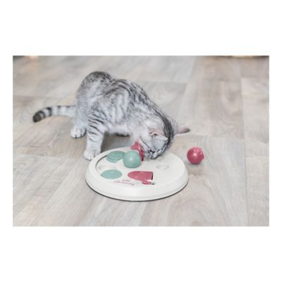 Image showing  Flip Board Activity Interactive Cat Toy
