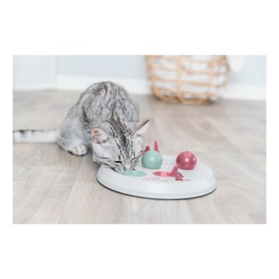 Image showing  Flip Board Activity Interactive Cat Toy