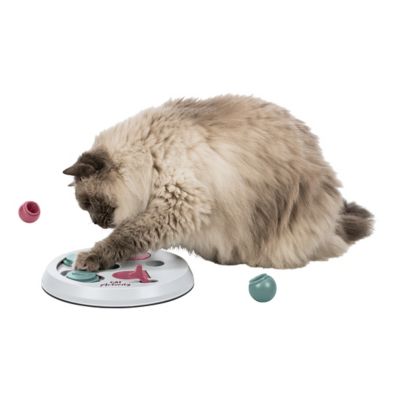 Image showing  Flip Board Activity Interactive Cat Toy