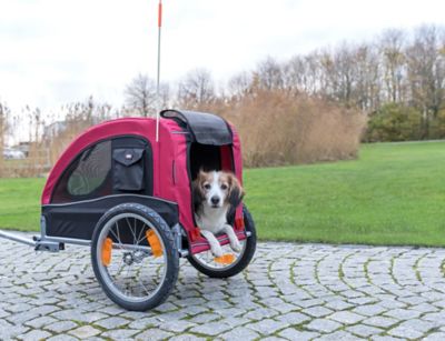Image showing 6 th TRIXIE Dog Bike Trailer, Small Dogs