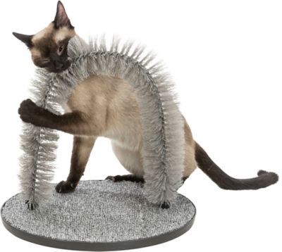 Image showing  Cat Massager and Self Grooming Arch, Bristle Ring Brush, Carpet Base Scratcher, Cat Self Groomer