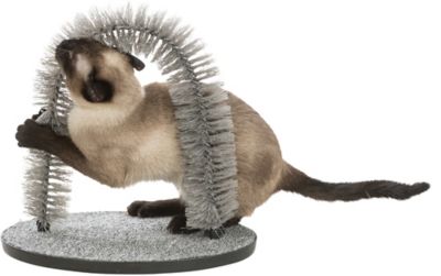 Image showing  Cat Massager and Self Grooming Arch, Bristle Ring Brush, Carpet Base Scratcher, Cat Self Groomer