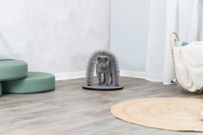 Image showing  Cat Massager and Self Grooming Arch, Bristle Ring Brush, Carpet Base Scratcher, Cat Self Groomer