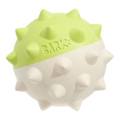 Image showing  Throwfish Dog Fetch Toy