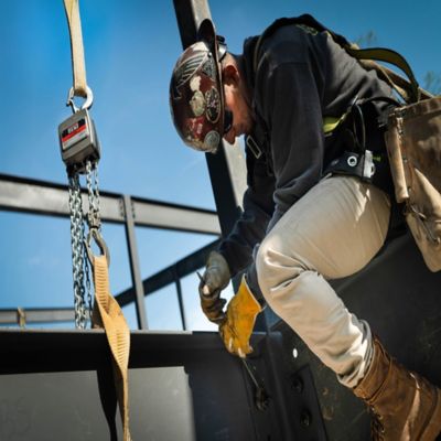 Image showing 7 th JET 0.5-Ton 15 ft. Lift AL100-050-10 Aluminum Hand Chain Hoist