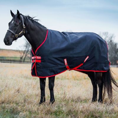 Gallop All In One Fly Rug Sand/blue 