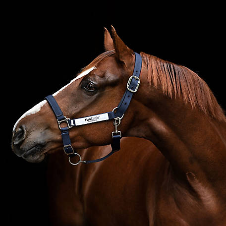 Amigo Padded Leather Pony/Horse Headcollar 