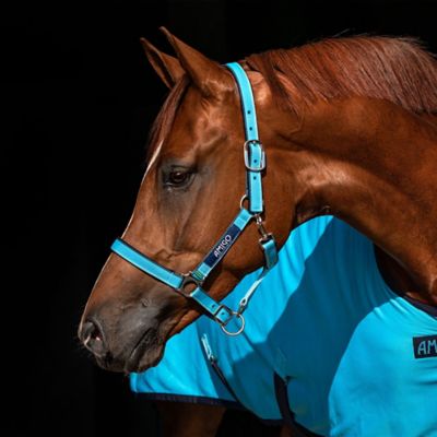 Leg Wraps Western Saddle Horse Reflective Safety Set Bridle Breast Collar 