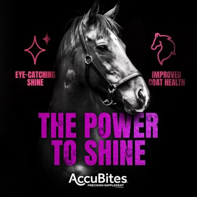 Image showing  MP Accubites Radiance Equine Pelleted Horse Supplement, 8 lb.