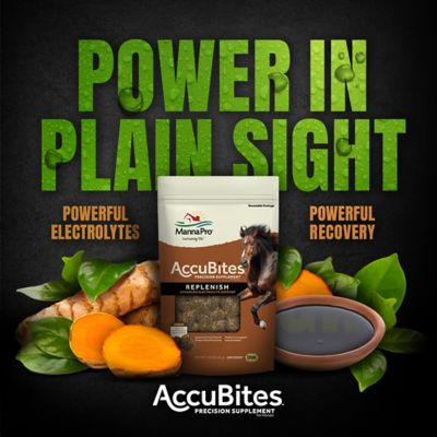 Image showing  MP Accubites Replenish Equine Supplement, 27 oz.