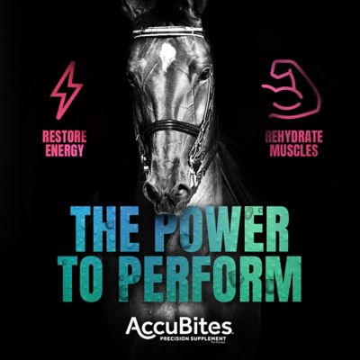 Image showing  MP Accubites Replenish Equine Supplement, 27 oz.