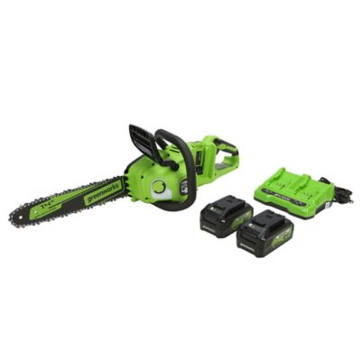 Image showing  14 in. 48V Cordless Chainsaw, Battery and Charger Included