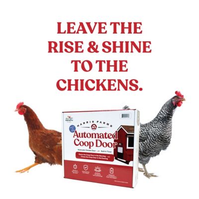 Image showing 8 th Manna Pro Harris Farms Automatic Chicken Door