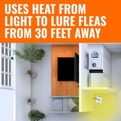 Image showing  Refillable Flea Trap