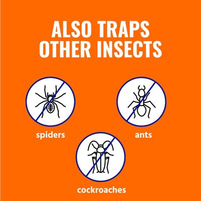 Image showing 6 th TERRO Refillable Flea Trap