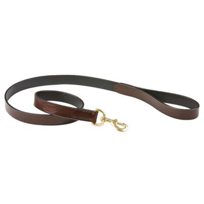 WeatherBeeta Leather Dog Lead