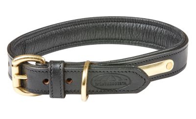 WeatherBeeta Padded Leather Dog Collar