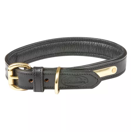 WeatherBeeta Padded Leather Dog Collar Dog Basic Collars