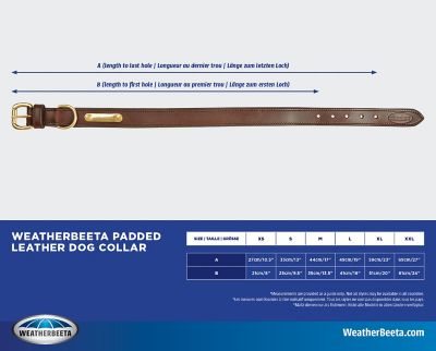 Image showing  Padded Leather Dog Collar