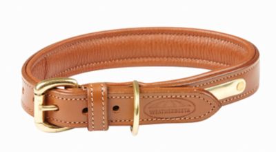 WeatherBeeta Padded Leather Dog Collar